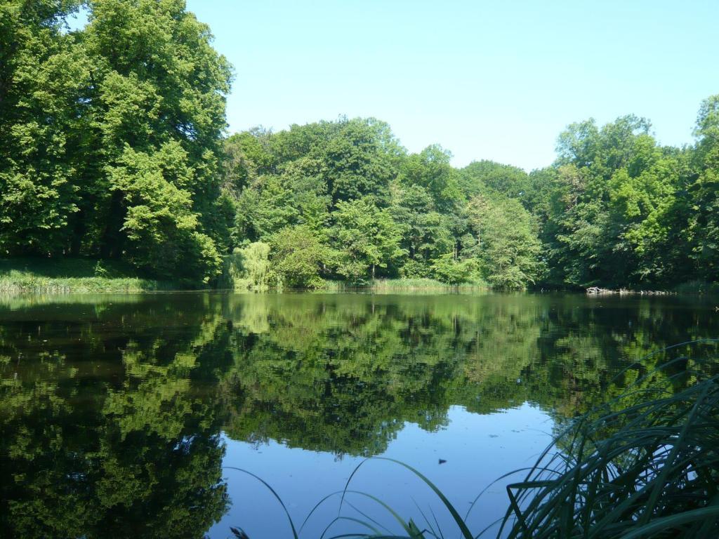 Carmina Am See Karnin  Kültér fotó